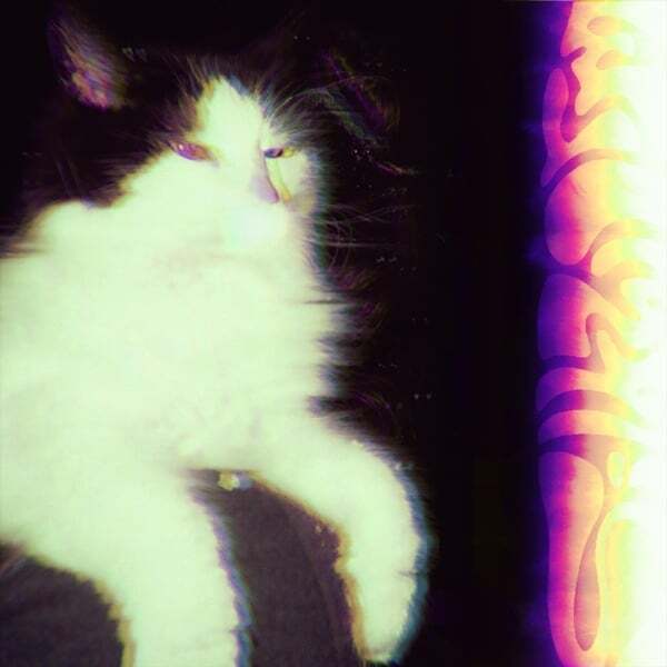 Cover art for Silkworm